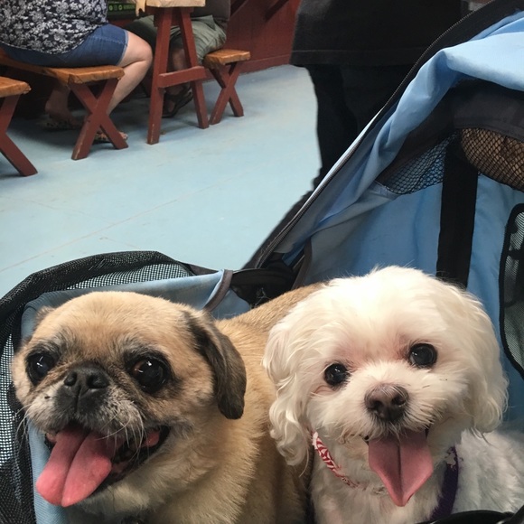 Posh Ambassador. - Picture 3 of 12